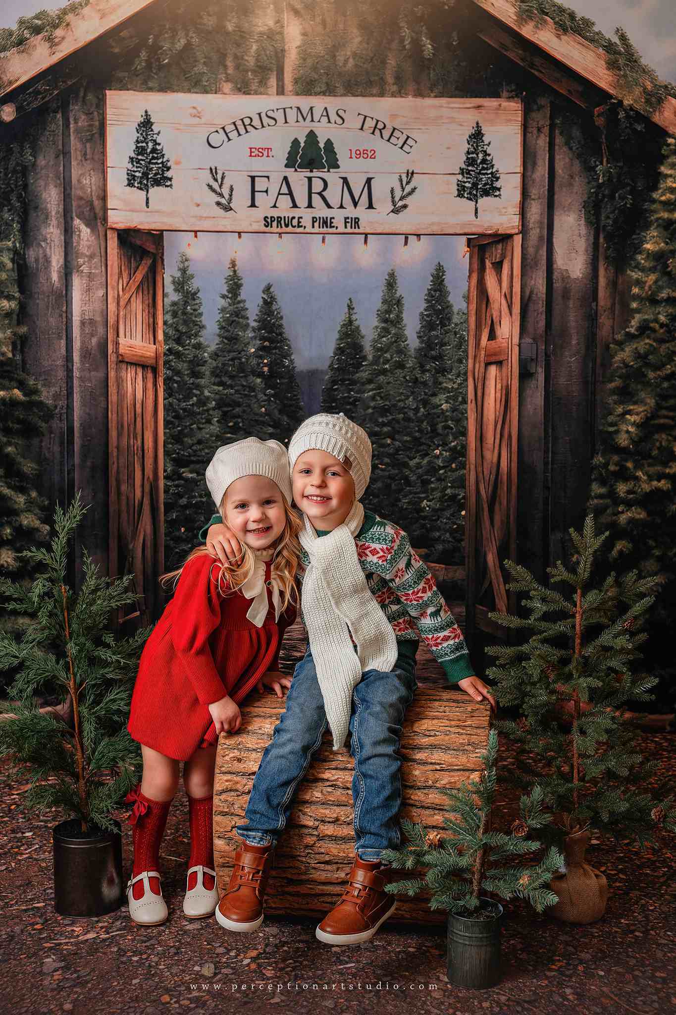 Kate Christmas Tree Farm Entrance Backdrop for Photography - Kate Backdrop AU