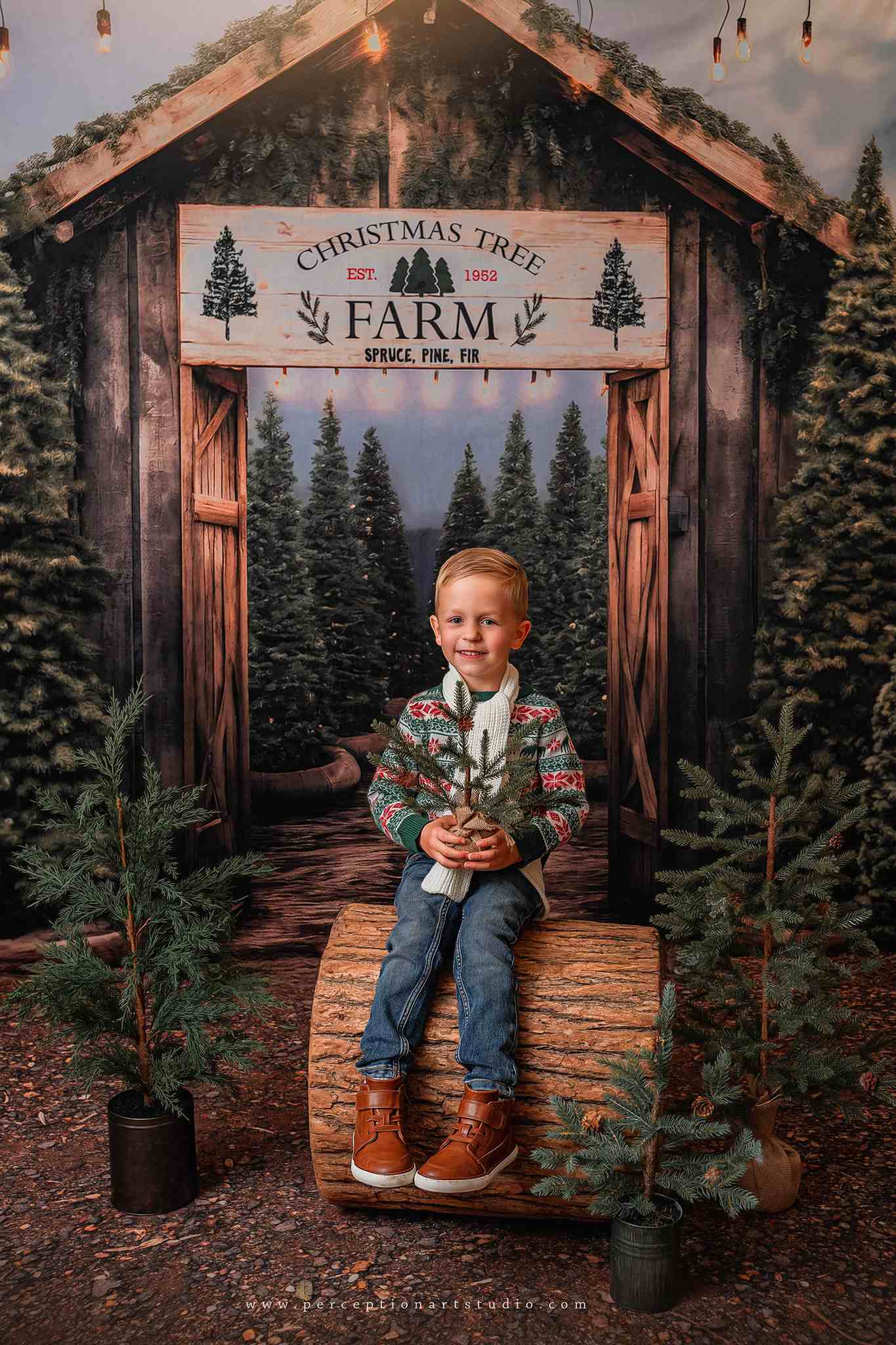 Kate Christmas Tree Farm Entrance Backdrop for Photography - Kate Backdrop AU