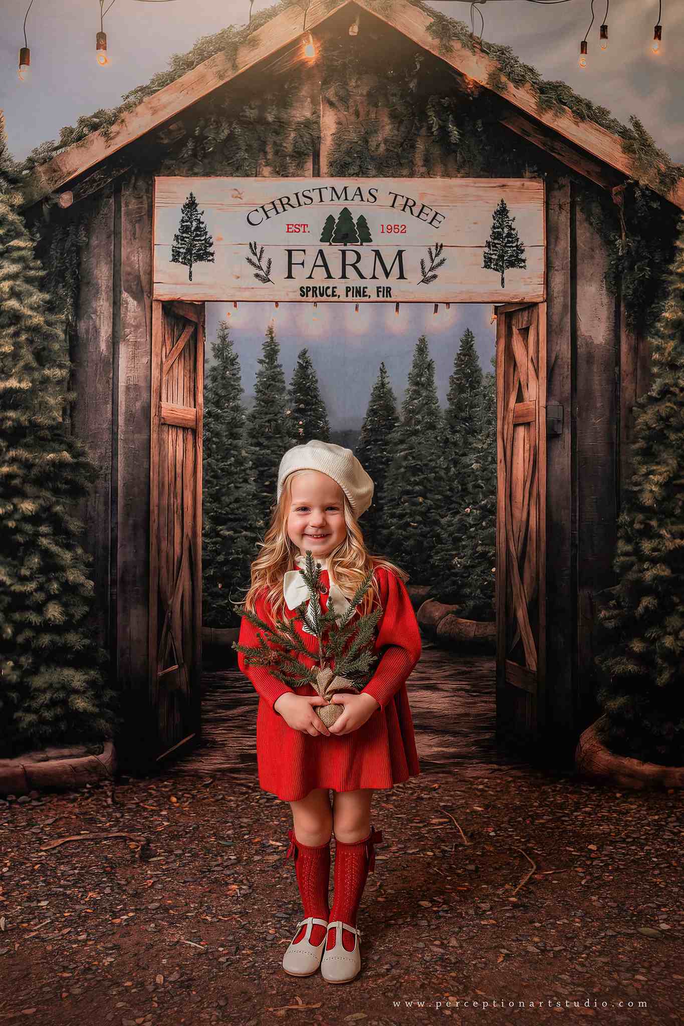 Kate Christmas Tree Farm Entrance Backdrop for Photography - Kate Backdrop AU