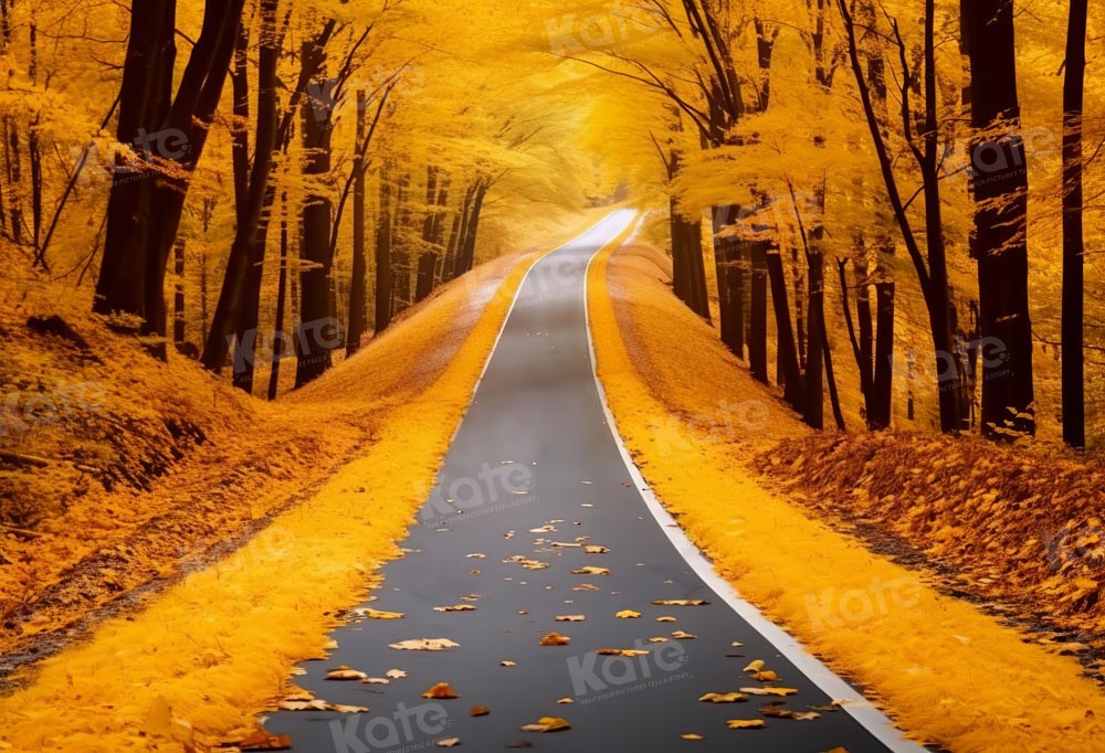 Kate Autumn Leaves Path Backdrop Designed by Chain Photography - Kate Backdrop AU