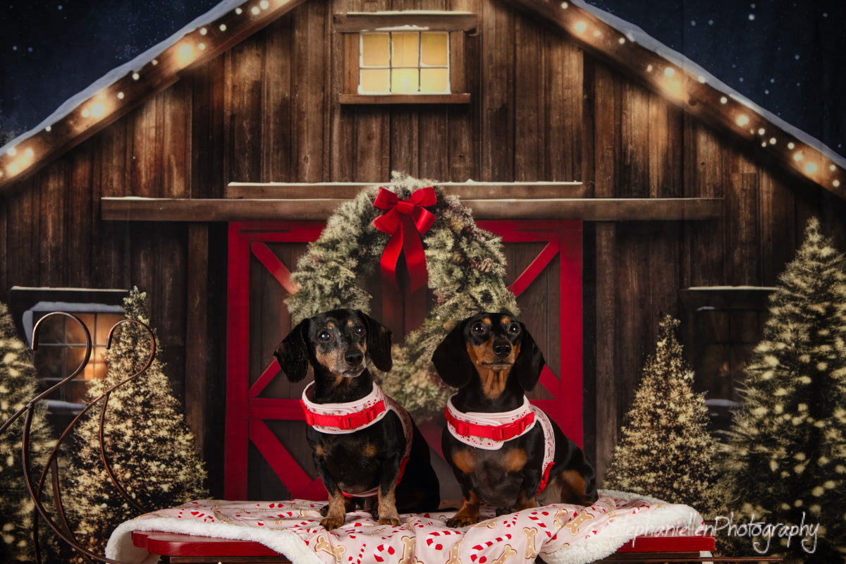 Kate Christmas Outdoor Snow House Backdrop for Photography - Kate Backdrop AU