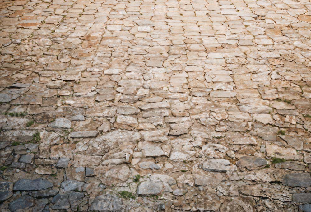 Kate Rugged Patterned Path Floor Backdrop Designed by Kate Image - Kate Backdrop AU