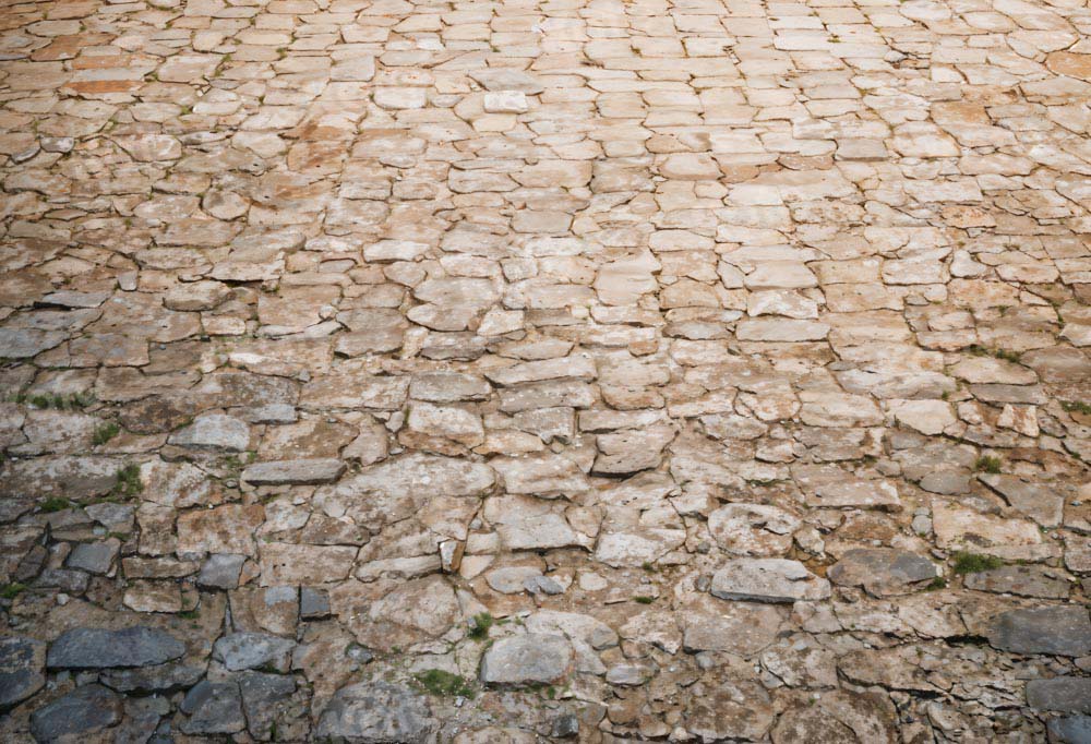 Kate Rugged Patterned Path Floor Backdrop Designed by Kate Image