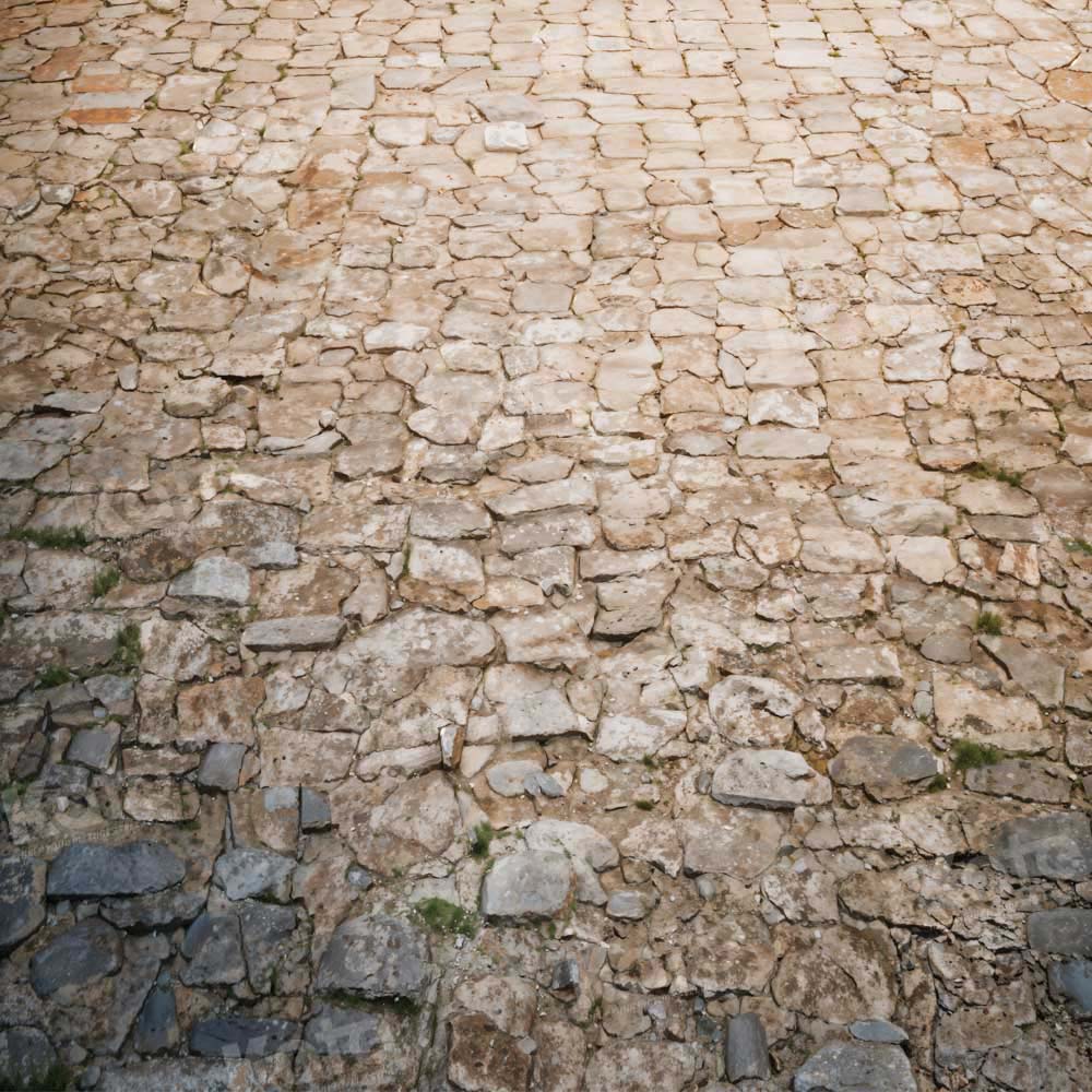 Kate Rugged Patterned Path Floor Backdrop Designed by Kate Image