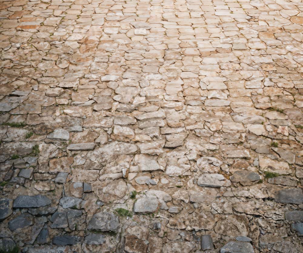 Kate Rugged Patterned Path Floor Backdrop Designed by Kate Image