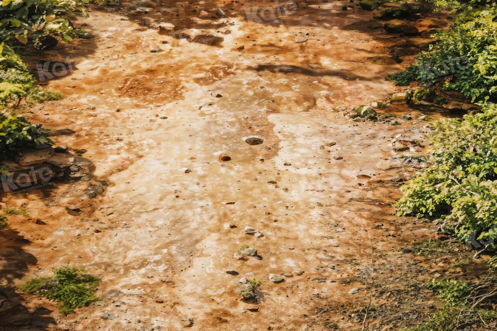 Kate Muddy Path Floor Backdrop Designed by Kate Image - Kate Backdrop AU