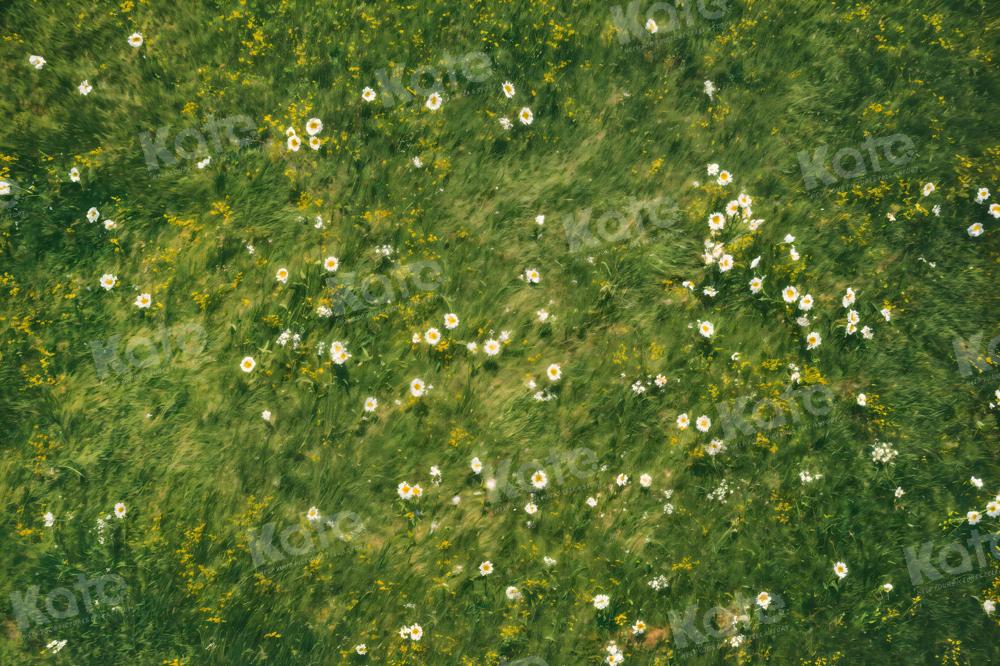 Kate White Flowers Grass Backdrop Designed by Kate Image