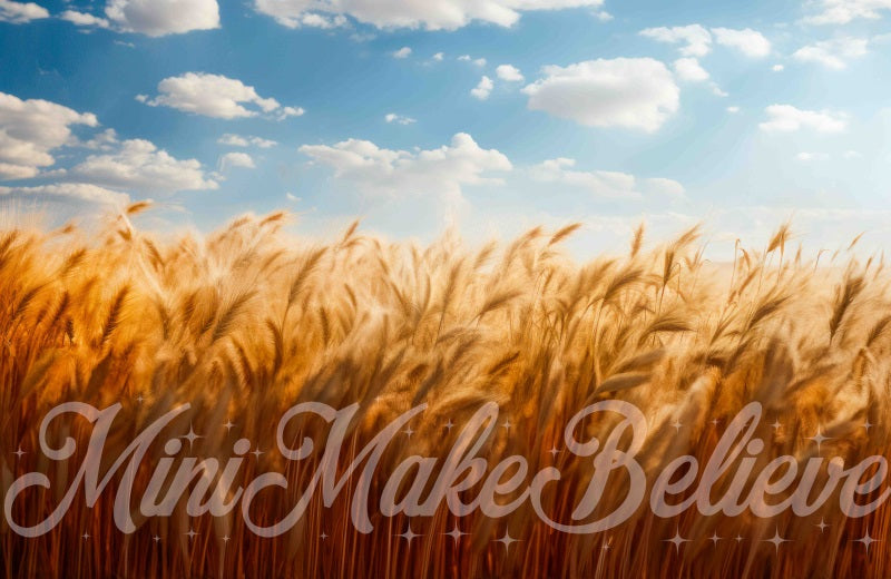 Kate Fine Art Soft Painted Boho Wheat Field Blue Skies- Backdrop Designed by Mini MakeBelieve