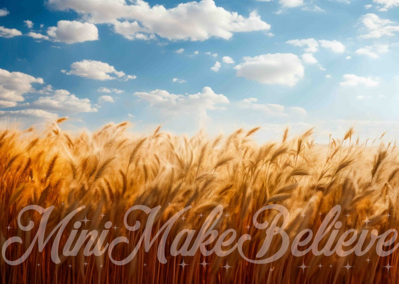 Kate Fine Art Soft Painted Boho Wheat Field Blue Skies- Backdrop Designed by Mini MakeBelieve