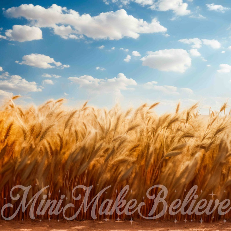 Kate Fine Art Soft Painted Boho Wheat Field Blue Skies- Backdrop Designed by Mini MakeBelieve - Kate Backdrop AU