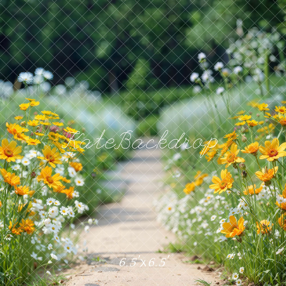 Kate Spring Flower Path Backdrop Designed by Emetselch - Kate Backdrop AU