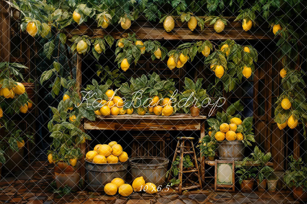 Kate Spring Lemon Warehouse Backdrop Designed by Emetselch - Kate Backdrop AU