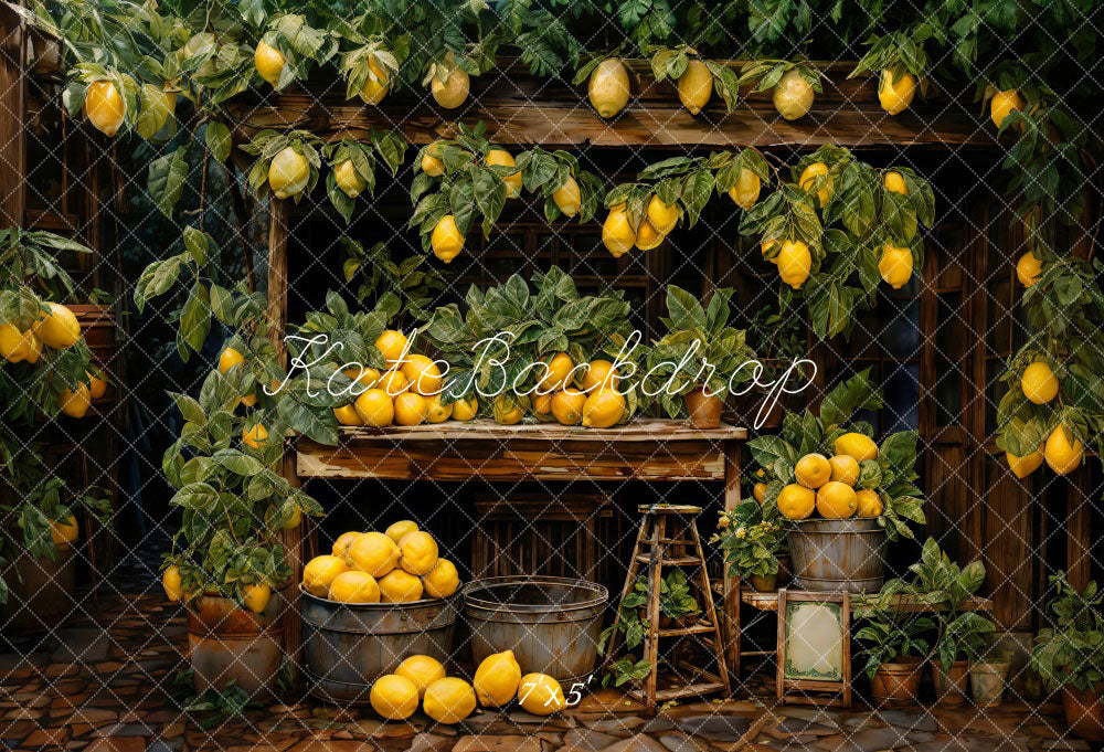 Kate Spring Lemon Warehouse Backdrop Designed by Emetselch