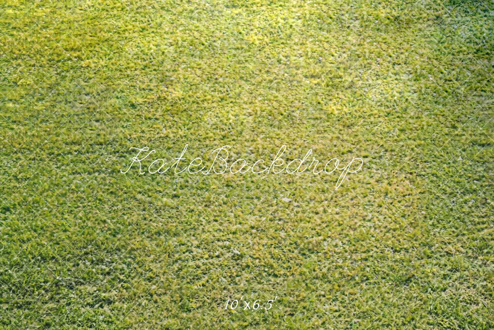 Kate Spring Green Grass Floor Backdrop Designed by Kate Image - Kate Backdrop AU