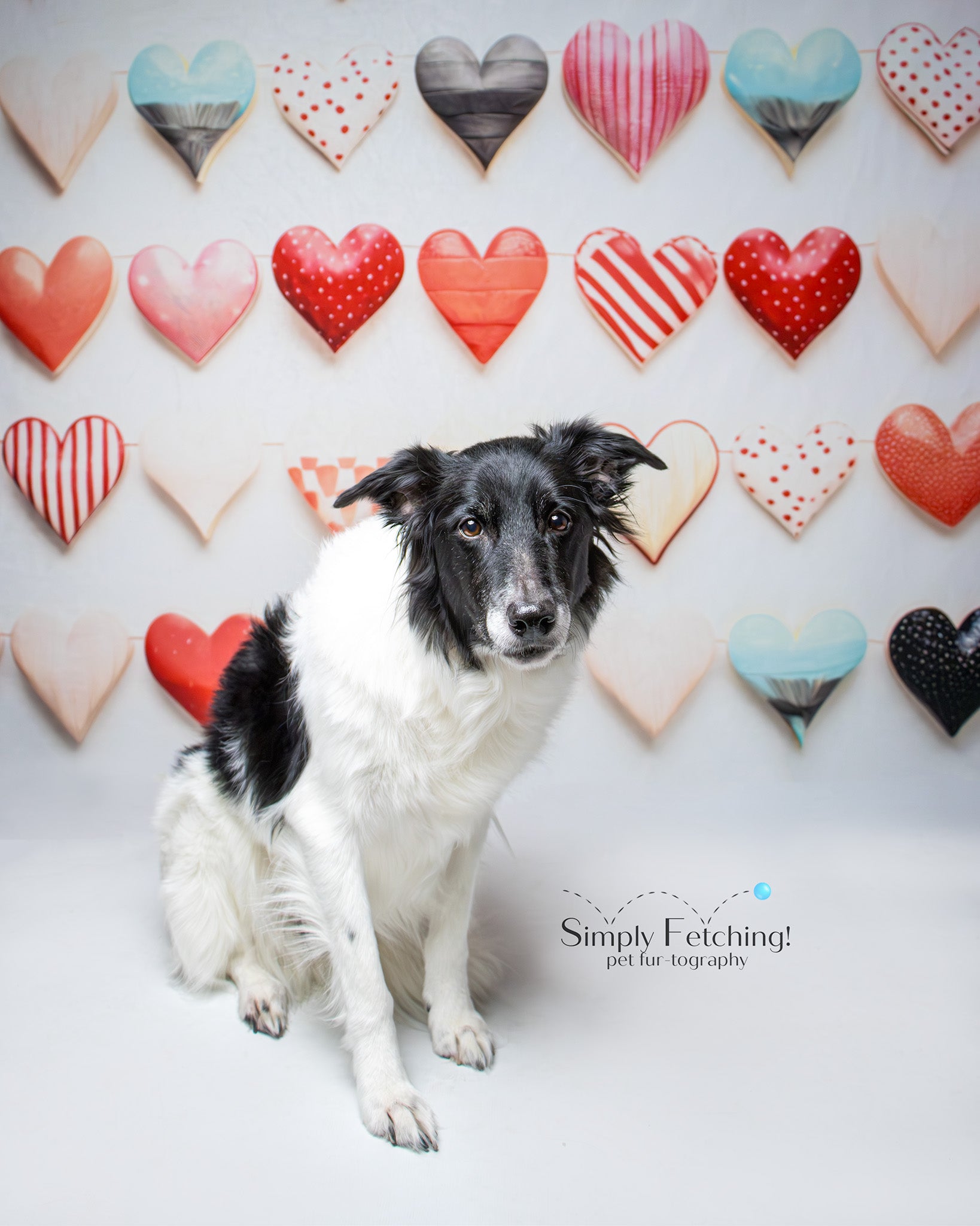 Kate Ceramic Valentines Day Hearts Backdrop Designed by Patty Robertss - Kate Backdrop AU