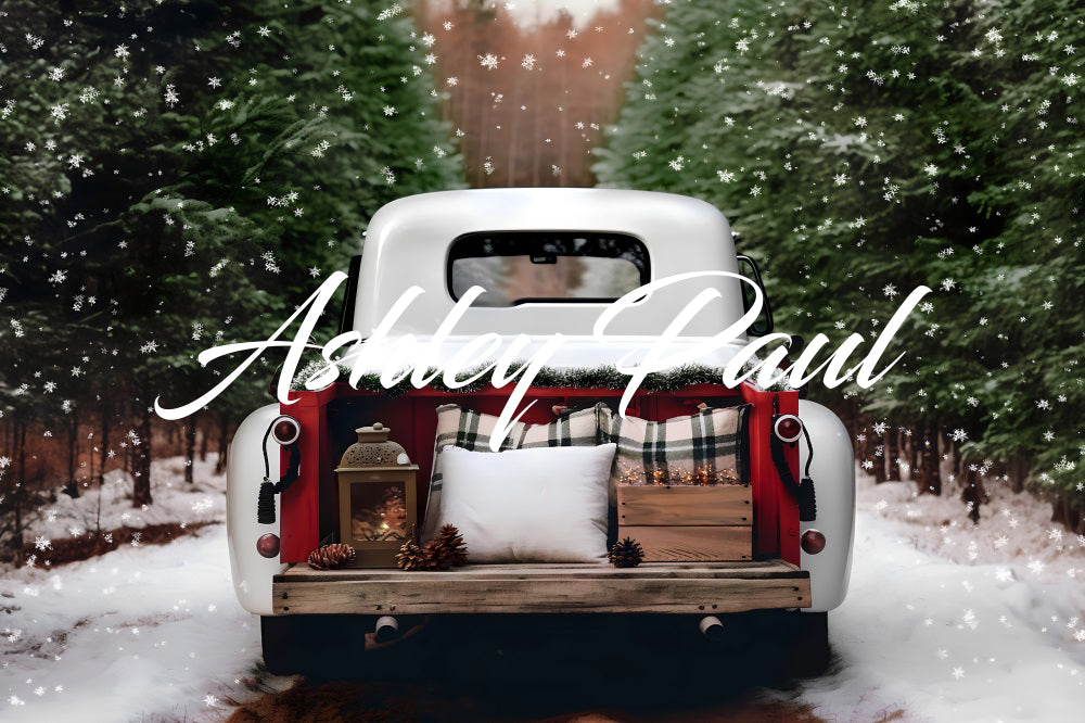 Kate Winter Snowflake Truck Backdrop Designed by Ashley Paul - Kate Backdrop AU