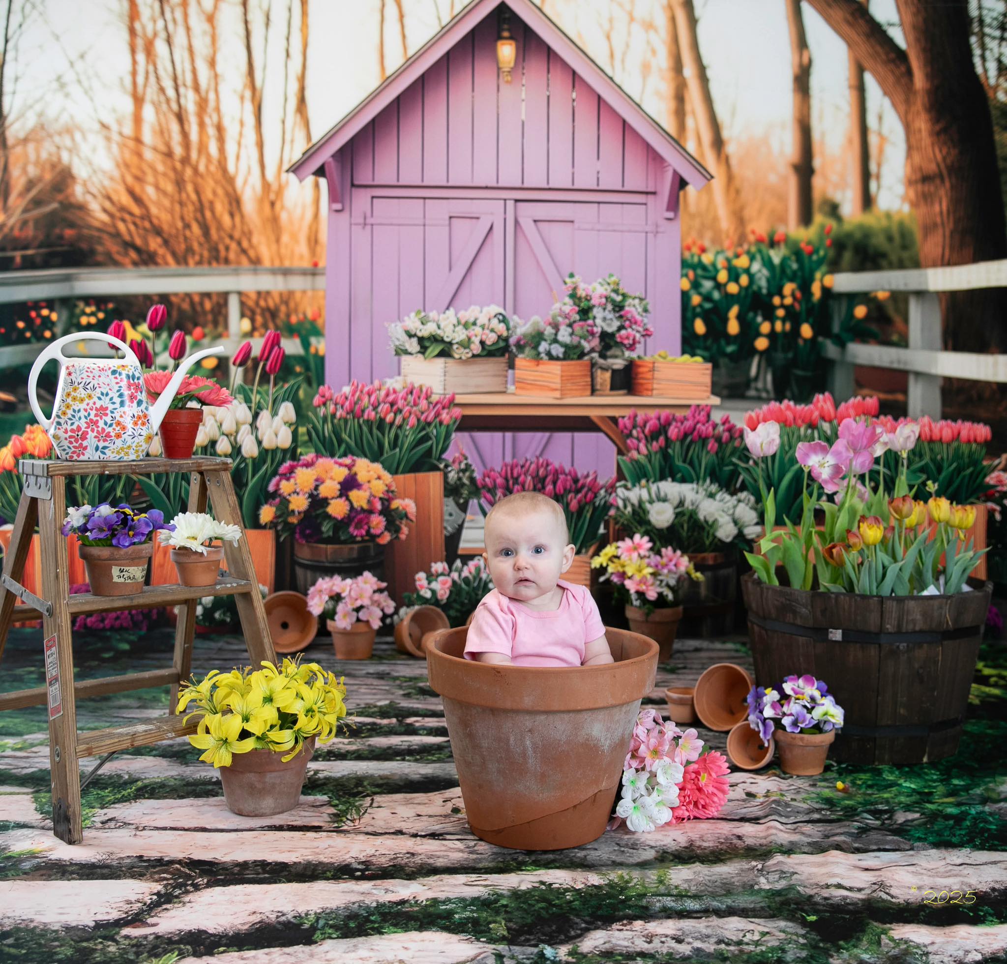 Kate Spring Greenhouse with Tulips Backdrop Designed by Patty Robertss