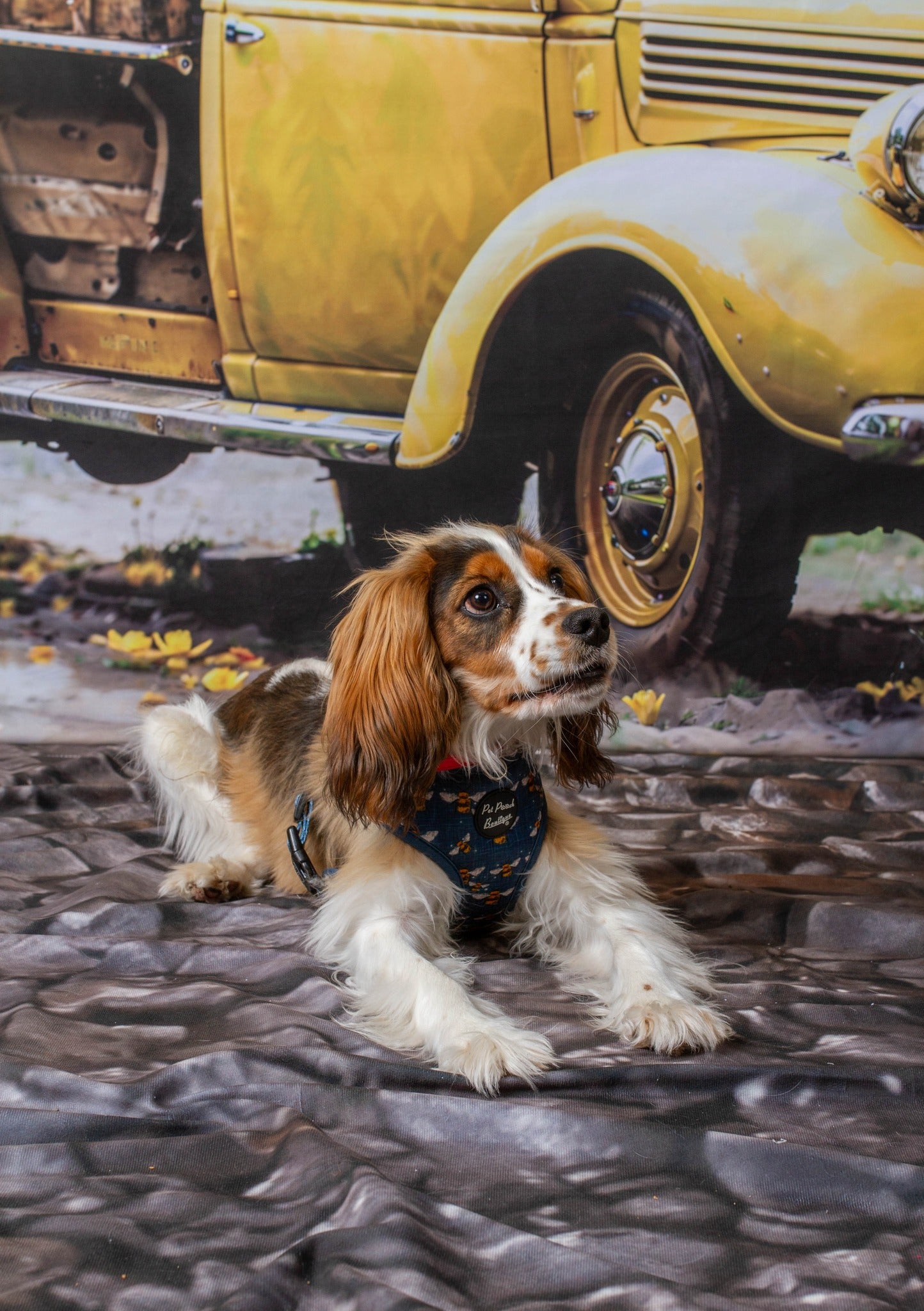 Kate Spring Yellow Truck Backdrop Designed by Emetselch - Kate Backdrop AU