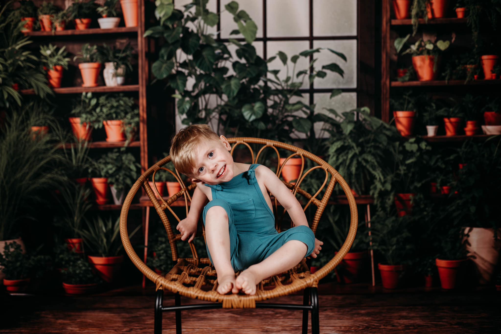Kate Spring Green Plants Window Backdrop Designed by Emetselch - Kate Backdrop AU