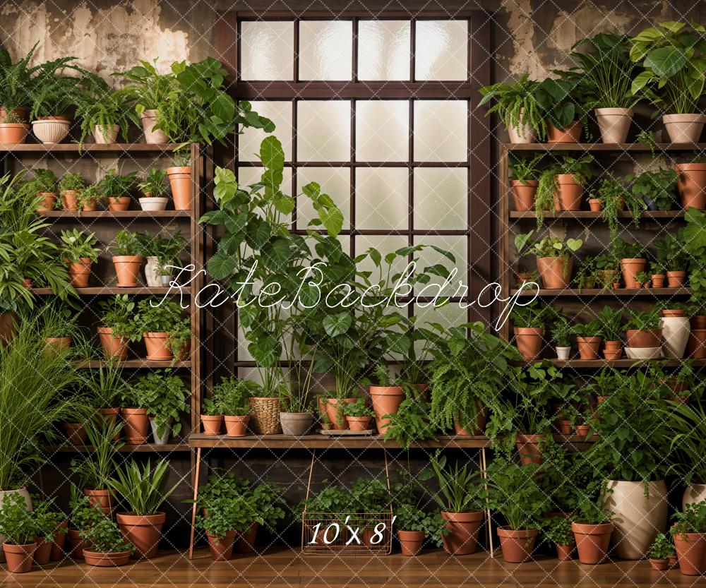 Kate Spring Green Plants Window Backdrop Designed by Emetselch - Kate Backdrop AU