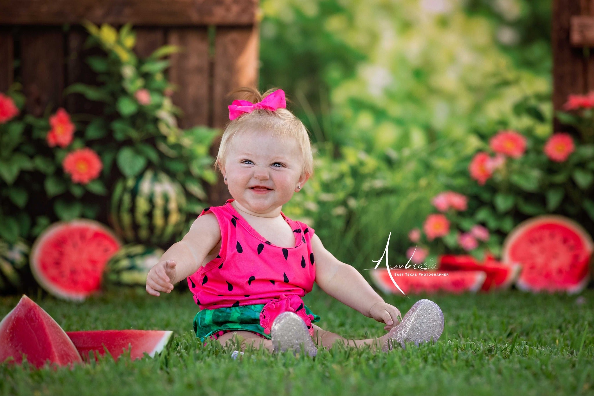 Kate Summer Watermelon Fence Backdrop Designed by Emetselch - Kate Backdrop AU