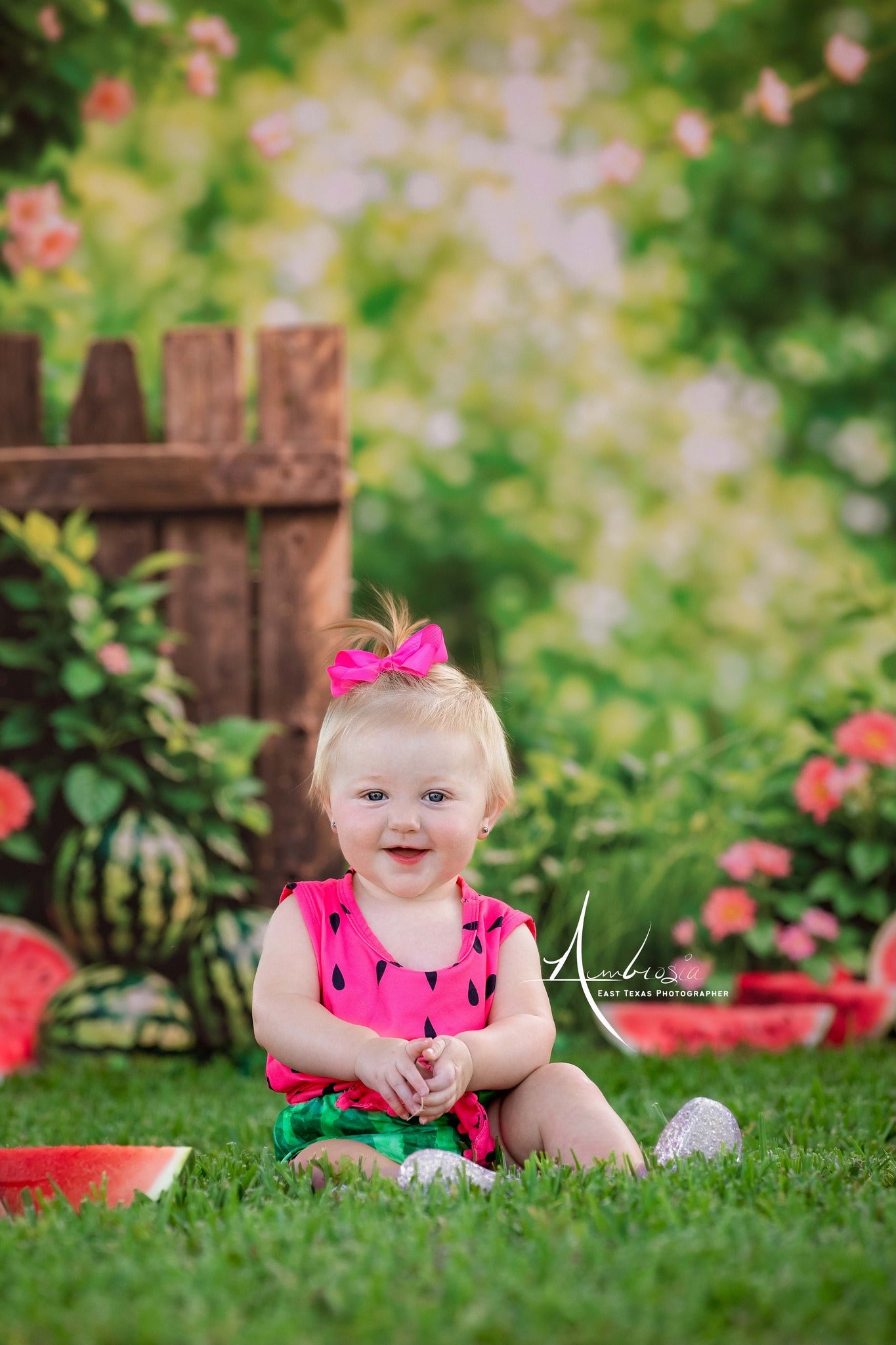 Kate Summer Watermelon Fence Backdrop Designed by Emetselch - Kate Backdrop AU