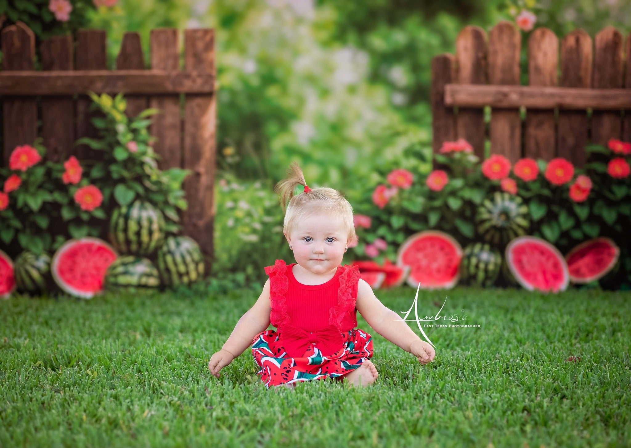 Kate Summer Watermelon Fence Backdrop Designed by Emetselch - Kate Backdrop AU
