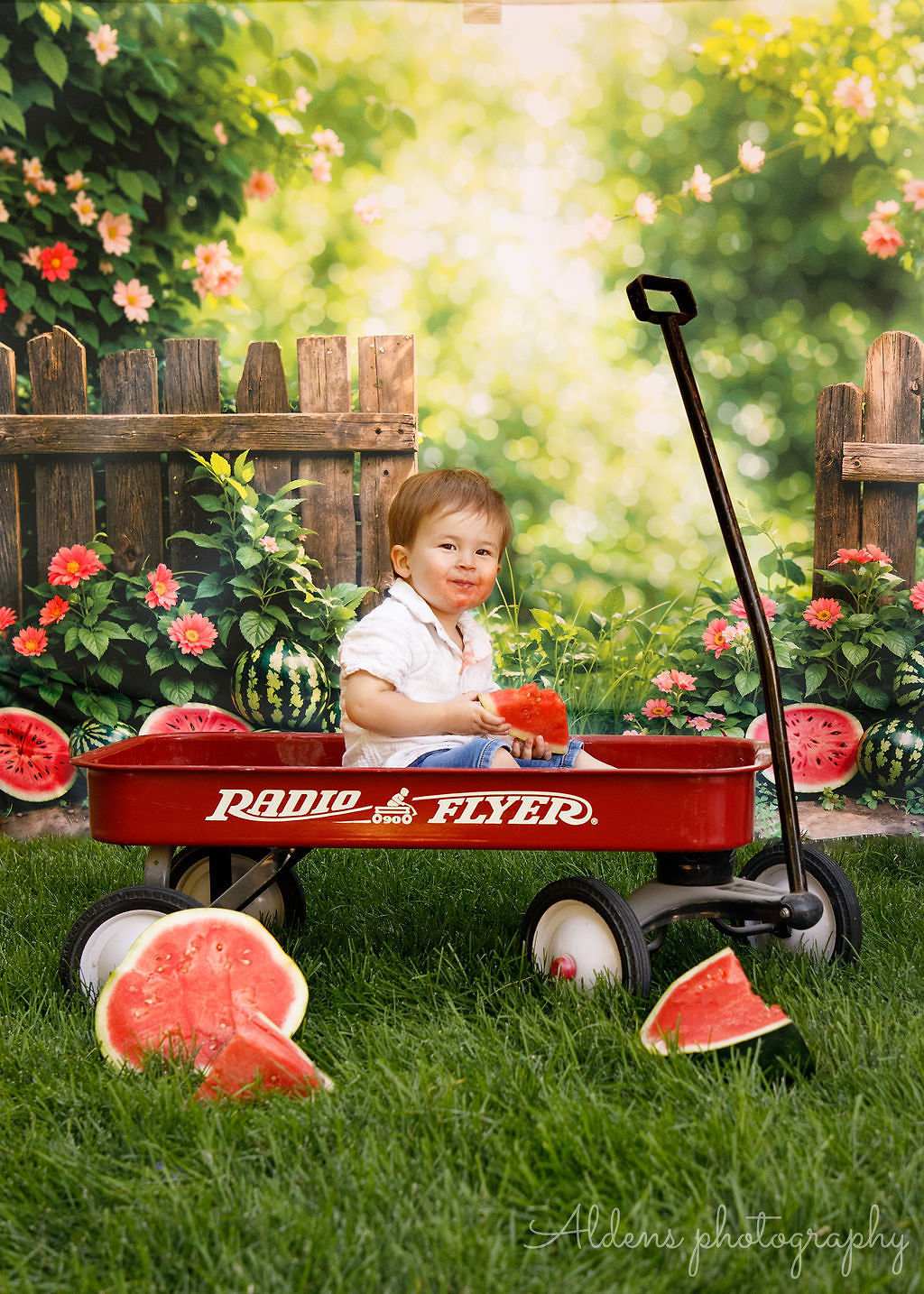 Kate Summer Watermelon Fence Backdrop Designed by Emetselch - Kate Backdrop AU