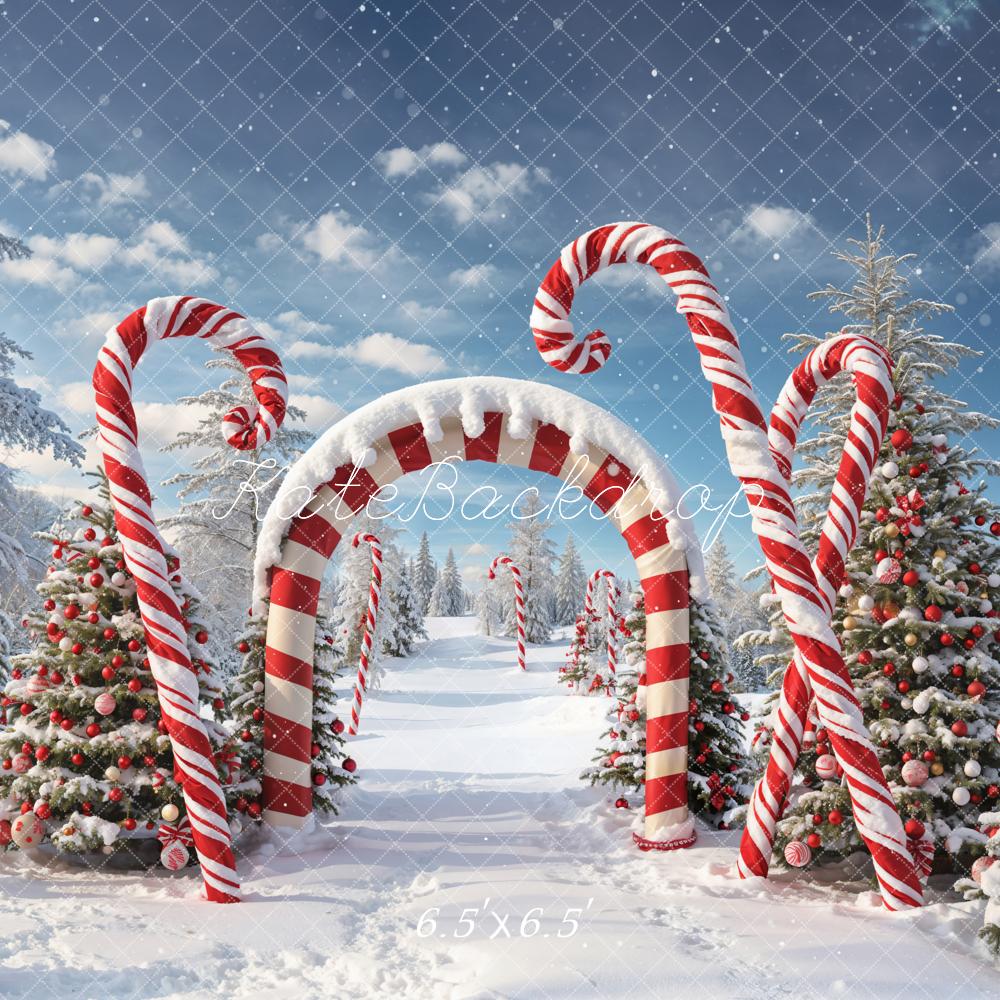 Kate Snow Forest Backdrop Red White Striped Arch Designed by Chain Photography - Kate Backdrop AU