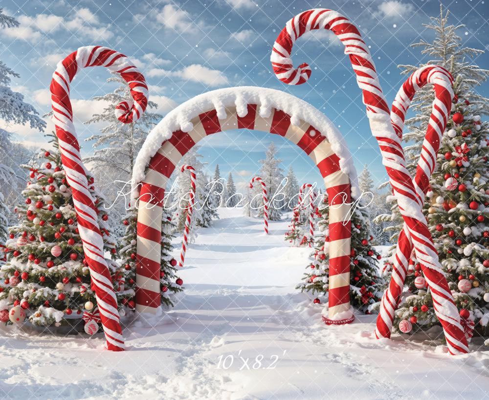 Kate Snow Forest Backdrop Red White Striped Arch Designed by Chain Photography - Kate Backdrop AU