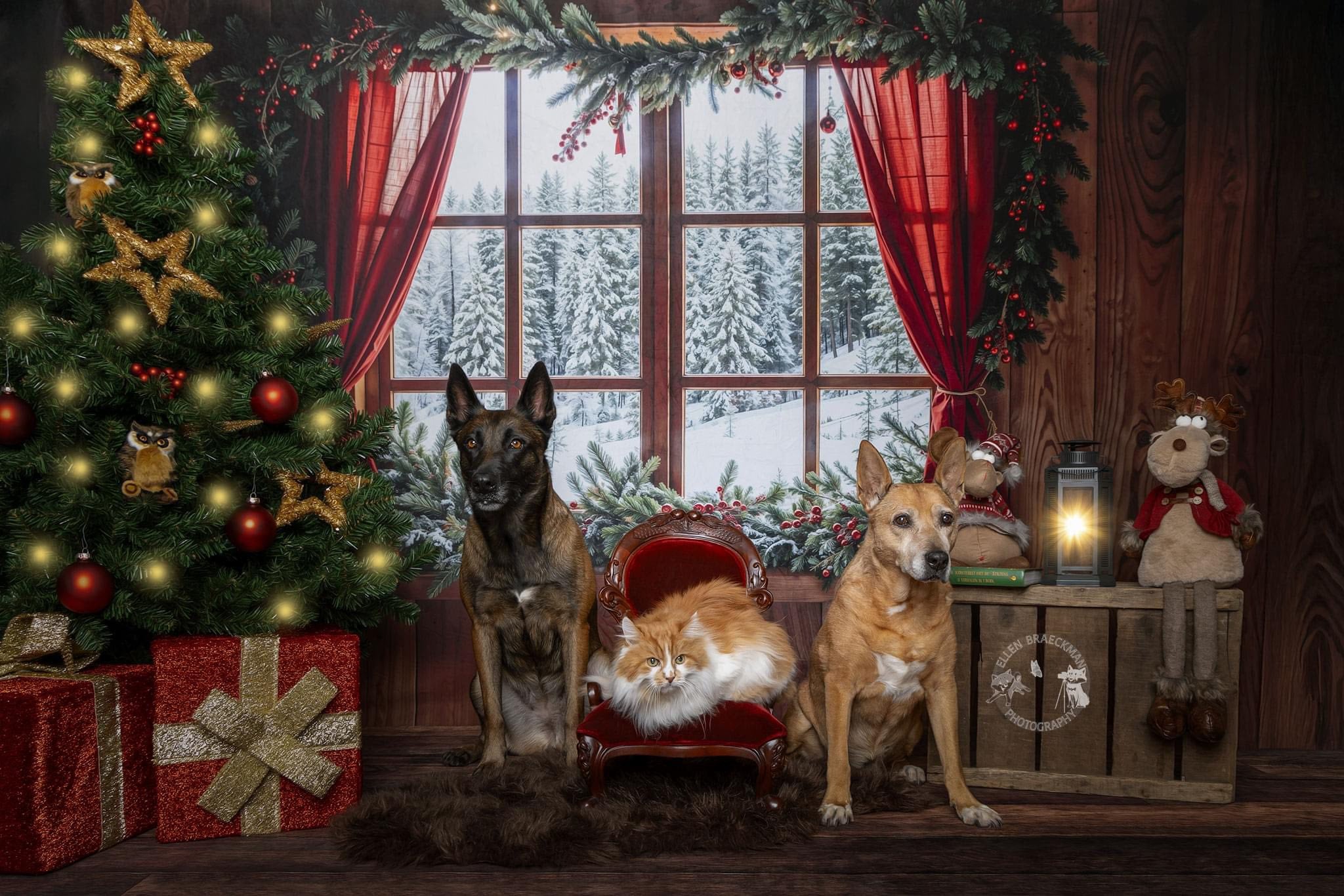 Kate Cabin Window Forest Snow Backdrop Designed by Chain Photography