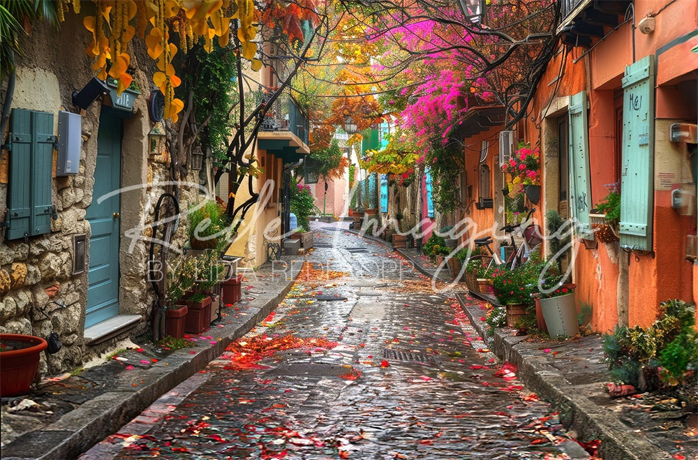 Kate Italian Back Street Backdrop Designed by Lidia Redekopp - Kate Backdrop AU