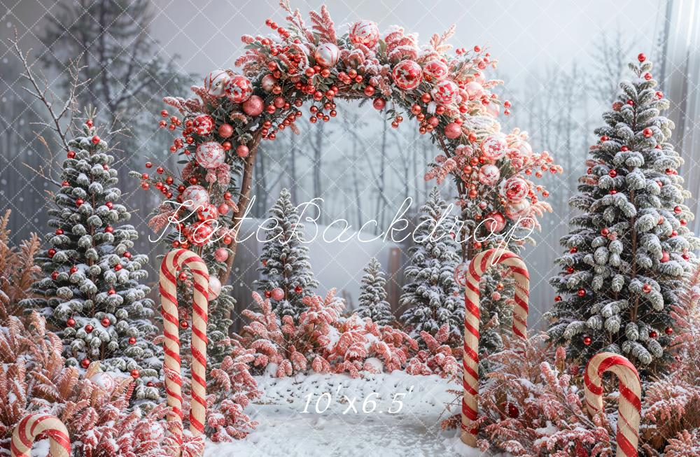 Kate Winter Forest Christmas Tree Arch Backdrop Designed by Emetselch - Kate Backdrop AU