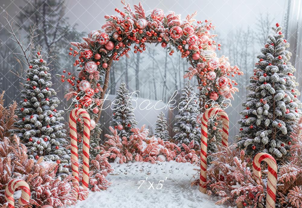 Kate Winter Forest Christmas Tree Arch Backdrop Designed by Emetselch - Kate Backdrop AU