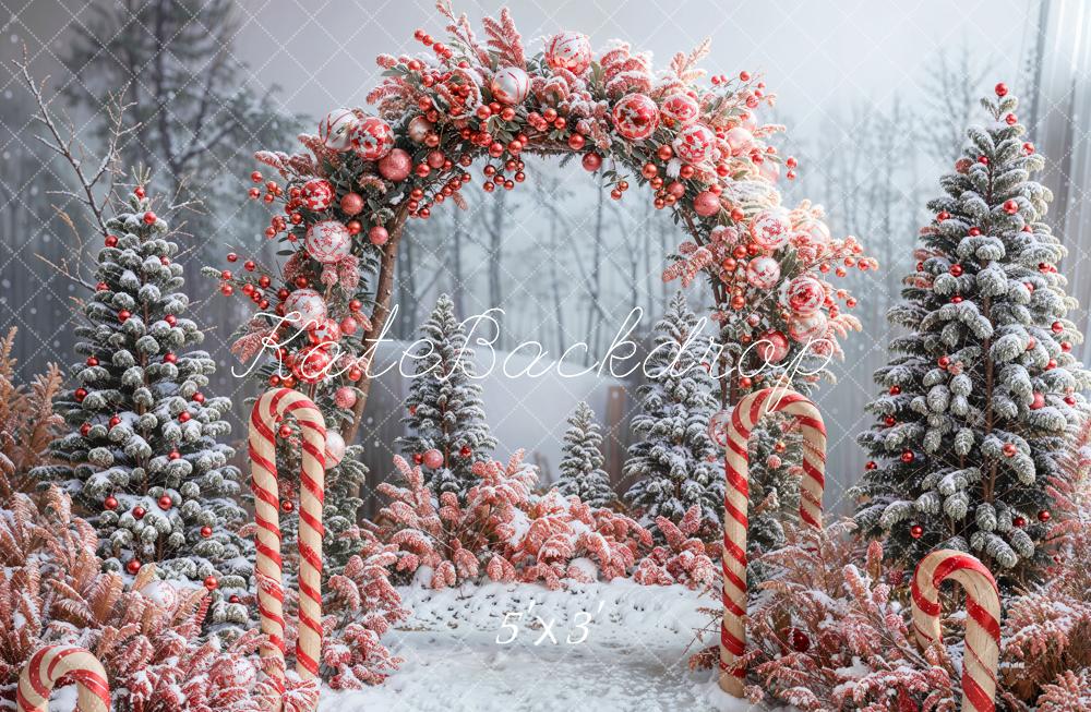 Kate Winter Forest Christmas Tree Arch Backdrop Designed by Emetselch - Kate Backdrop AU