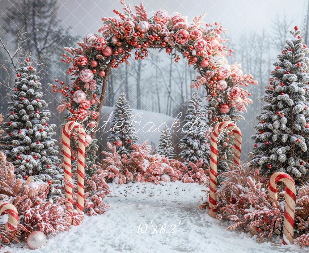 Kate Winter Forest Christmas Tree Arch Backdrop Designed by Emetselch - Kate Backdrop AU