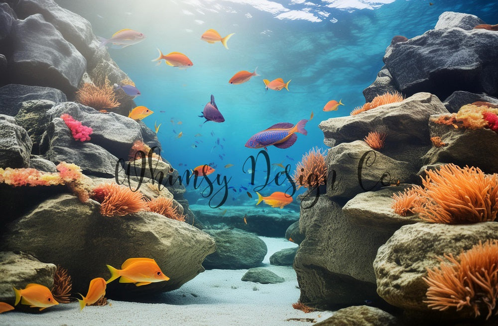 Kate Under The Sea Backdrop Designed by Nora Dishman - Kate Backdrop AU