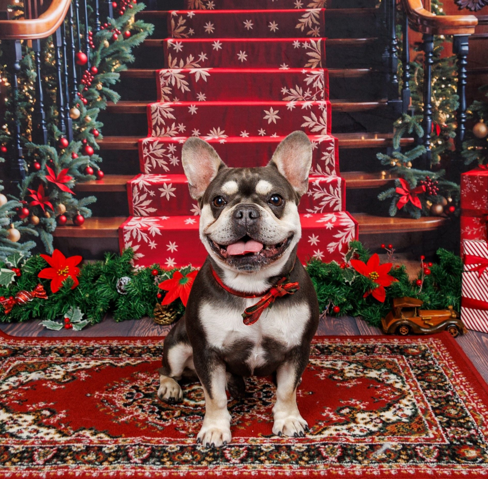 Kate Christmas Tree Red Retro Grand Staircase Backdrop Designed by Emetselch - Kate Backdrop AU