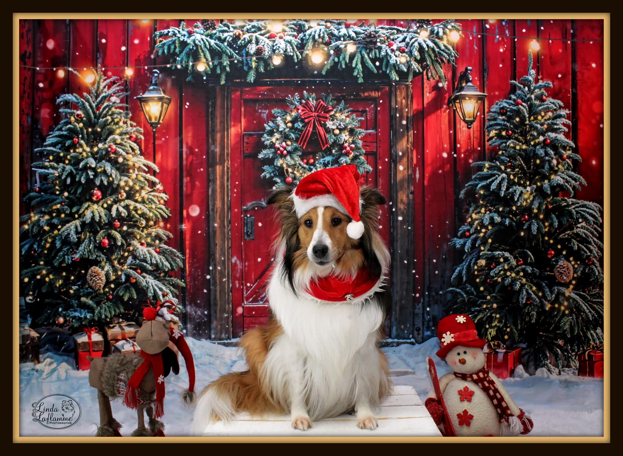 Kate Christmas Red Wooden House Backdrop Designed by Emetselch