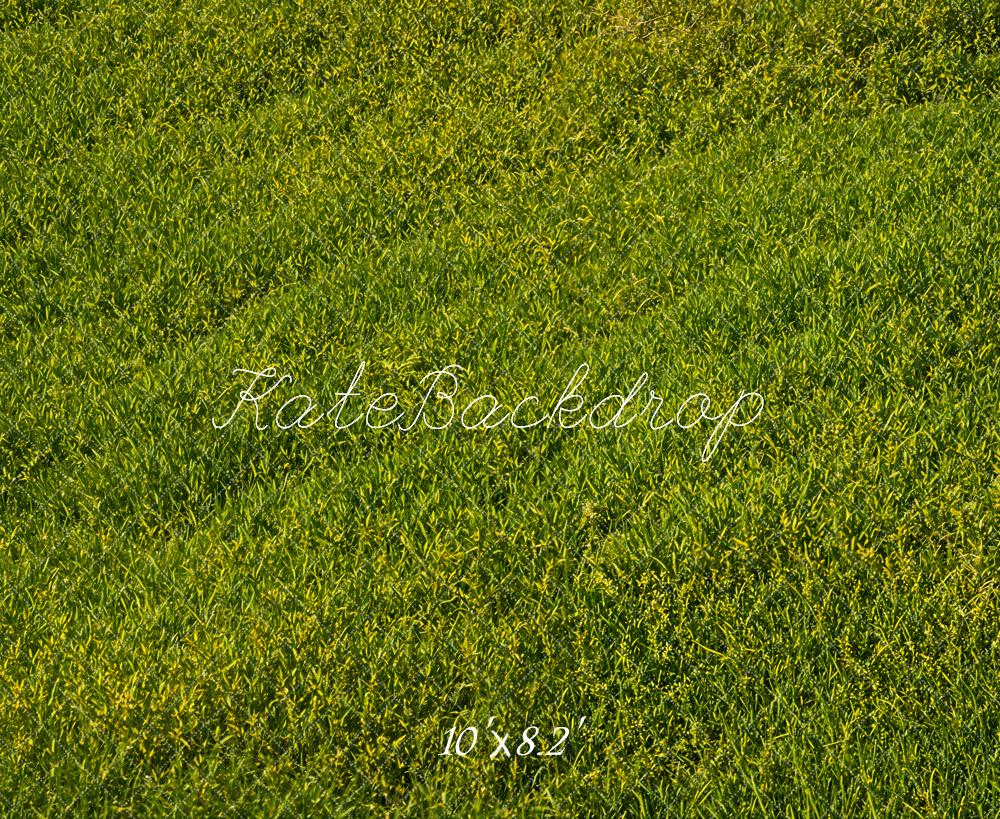 Kate Green Grass Field Floor Backdrop Designed by Emetselch - Kate Backdrop AU