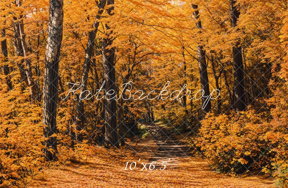 Kate Fall Forest Path Backdrop Designed by Emetselch - Kate Backdrop AU
