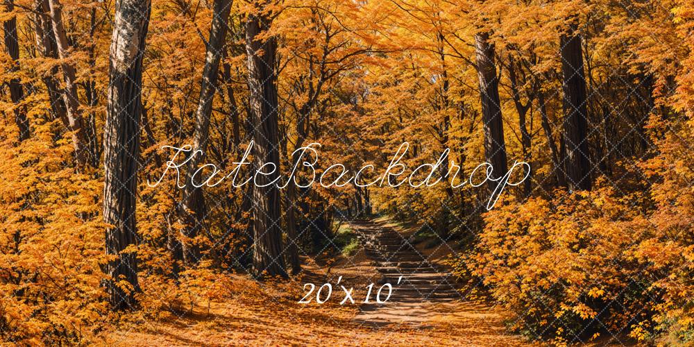 Kate Fall Forest Path Backdrop Designed by Emetselch - Kate Backdrop AU