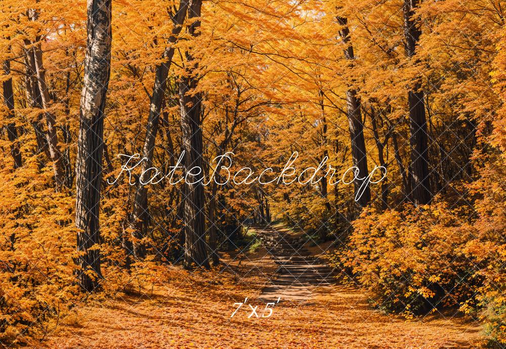 Kate Fall Forest Path Backdrop Designed by Emetselch - Kate Backdrop AU
