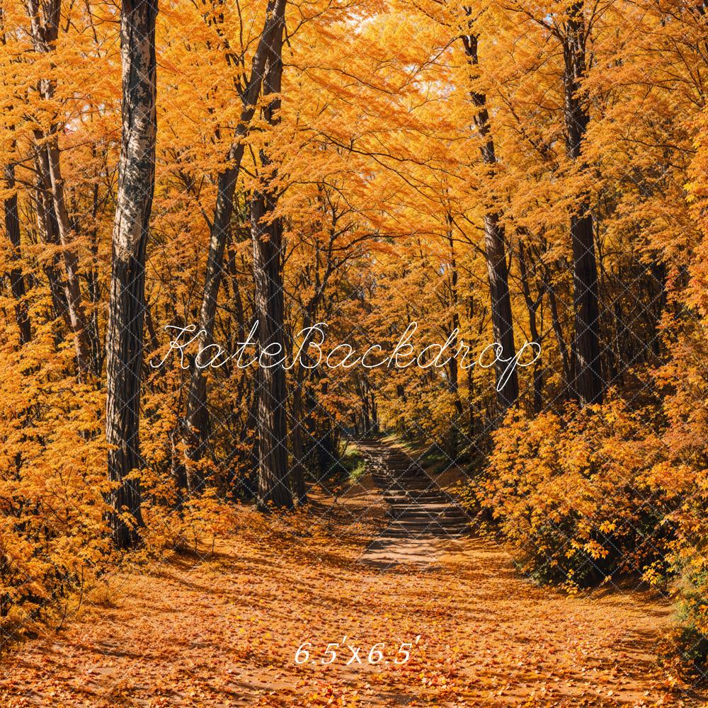 Kate Fall Forest Path Backdrop Designed by Emetselch - Kate Backdrop AU