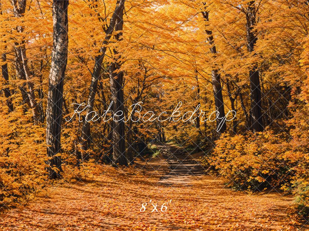Kate Fall Forest Path Backdrop Designed by Emetselch - Kate Backdrop AU