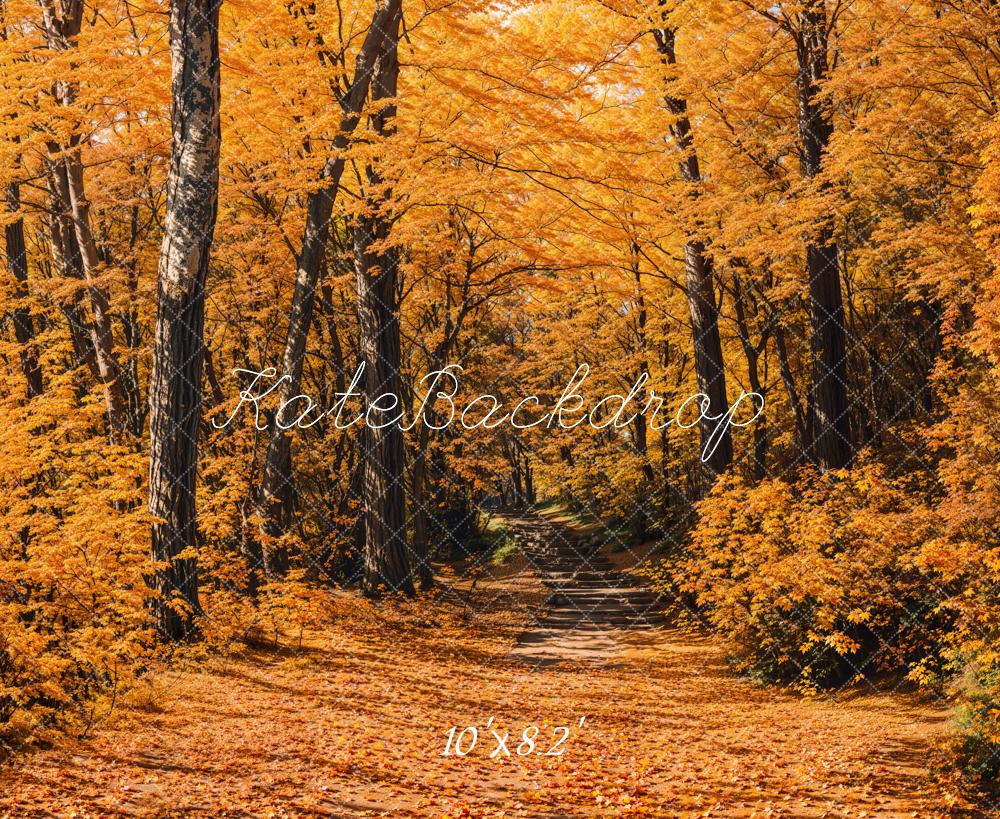 Kate Fall Forest Path Backdrop Designed by Emetselch - Kate Backdrop AU