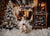 Kate Christmas Hot Chocolate Shop Backdrop Designed by Emetselch
