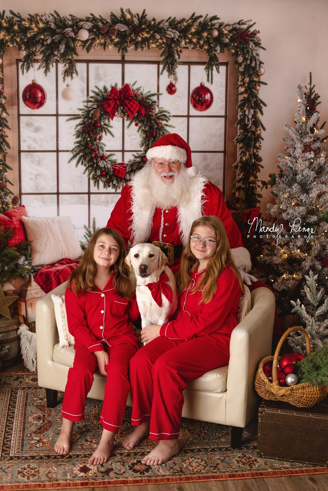 Kate Christmas Tree Decorate Window Backdrop Designed by Emetselch - Kate Backdrop AU