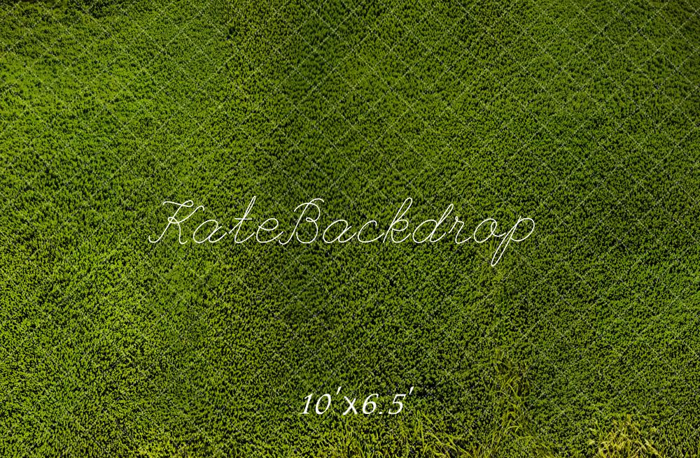 Kate Grassland Backdrop Designed by Emetselch - Kate Backdrop AU