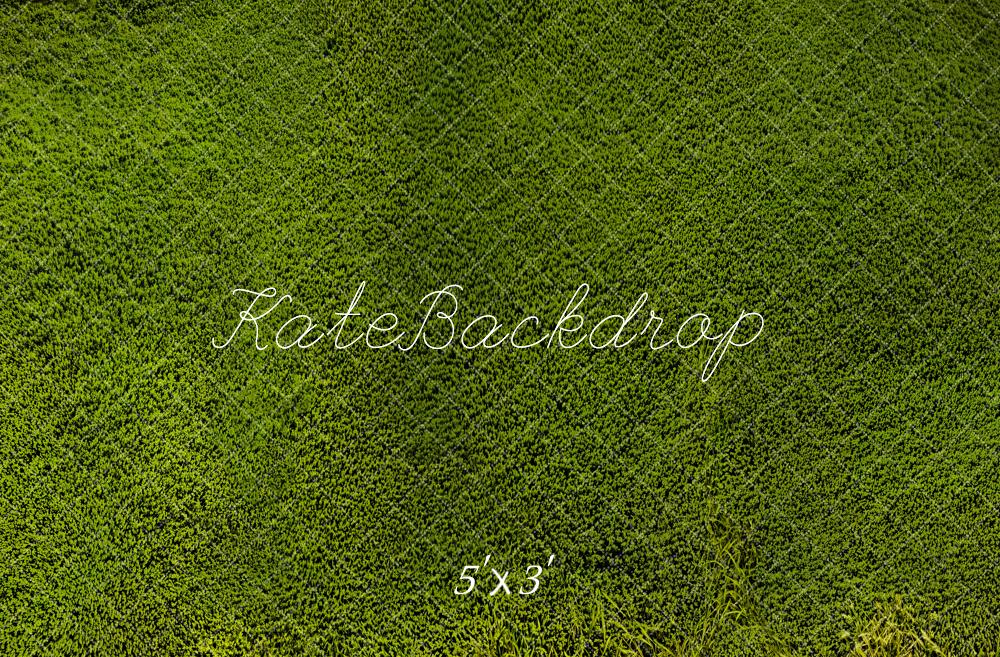 Kate Grassland Backdrop Designed by Emetselch - Kate Backdrop AU